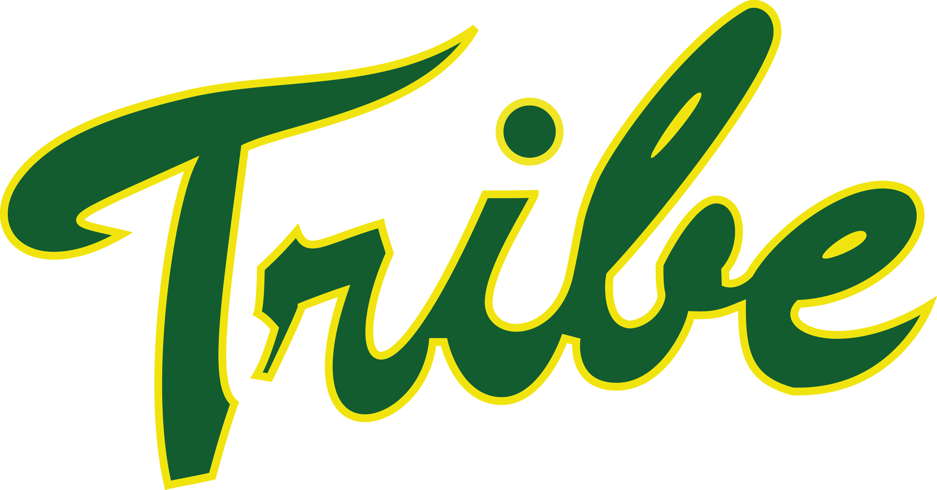 William and Mary Tribe 1985-Pres Alternate Logo diy DTF decal sticker